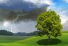 Meteorologiniai stebėjimai ir orų prognozės
